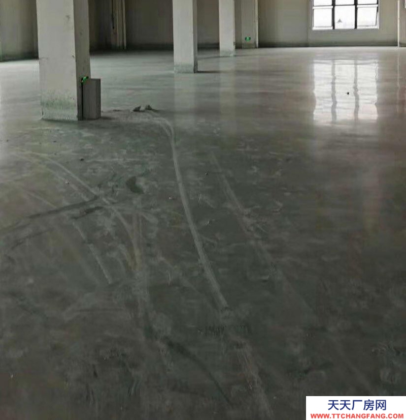 溫州蒼南縣(出租) 國道邊交通 停車卸貨方便一樓層高五米