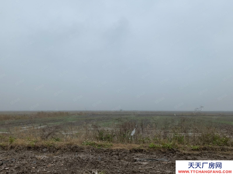 溫州蒼南縣(出售) 出售蒼南工業區土地20畝，30畝，50畝，80畝詳細咨詢