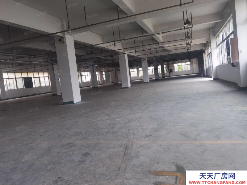 溫州蒼南縣(出售) 蒼南工業區大廠房50畝建筑35000平方出售1.2億.