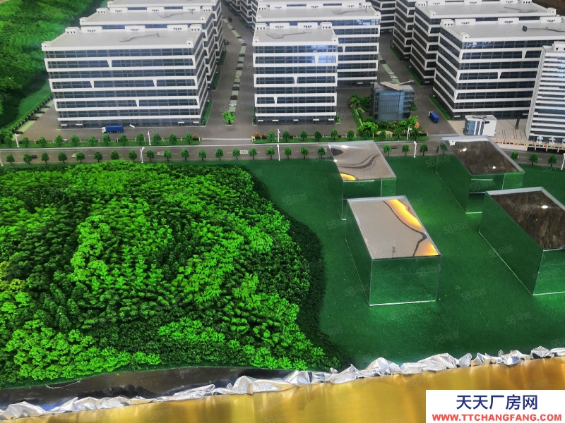 溫州蒼南縣(出售) 分水關小微園廠房出售，面積1000平米到5000平米價格面談