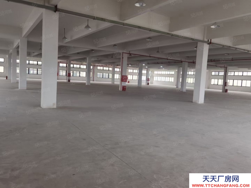 溫州蒼南縣(出售) 蒼南大路邊好位置51畝出售