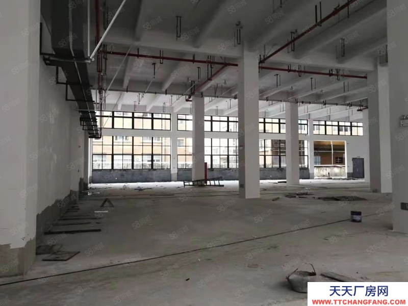 溫州蒼南縣(出售) 蒼南大路邊好位置51畝出售