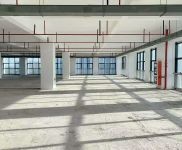 (出租) 楊浦，房東直租，適合直播展廳，研發實驗辦公，組裝測試，形象好