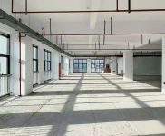 (出租) 楊浦,房東直租,適合直播展廳,研發實驗辦公,組裝測試,形象好