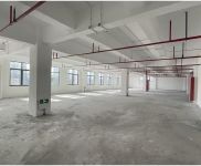 (出租) 楊浦大房東 研發 辦公 電商 企業總部 展廳 攝影 食堂宿舍