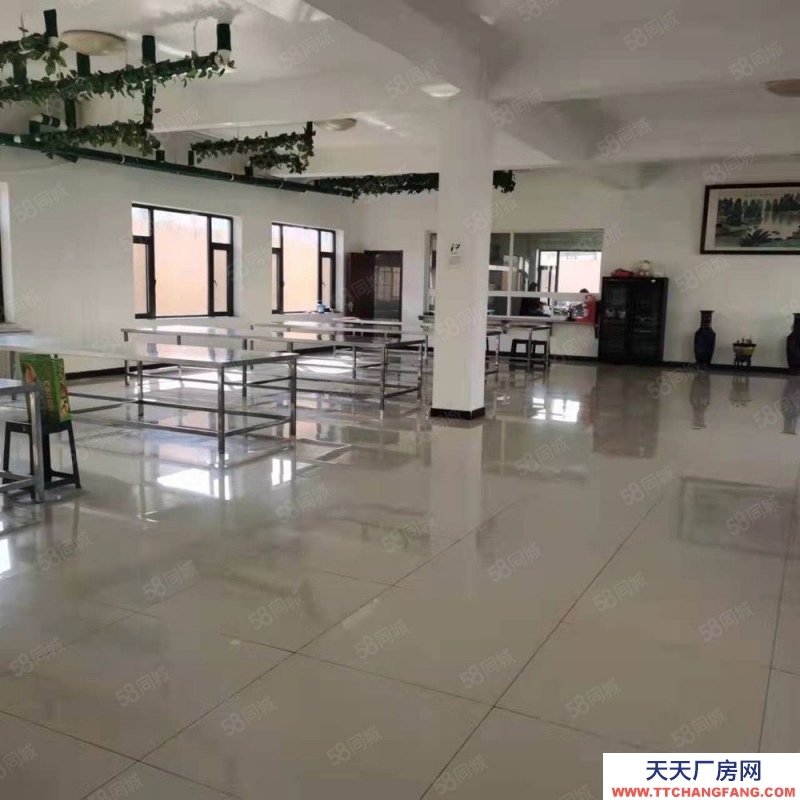 (出租) 大連金州標準廠房出租，格局好，寬敞明亮可做多種經營，可分租