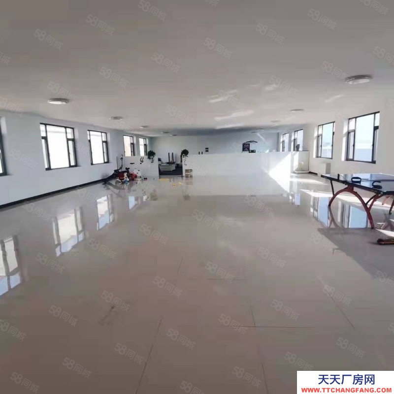 (出租) 大連金州標準廠房出租，格局好，寬敞明亮可做多種經營，可分租