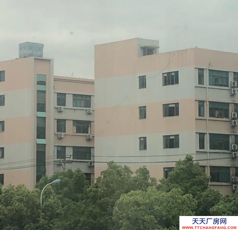 溫州文成(出租) 廠房車間2幢，宿舍樓1幢，屬于彩鋼房，高13米