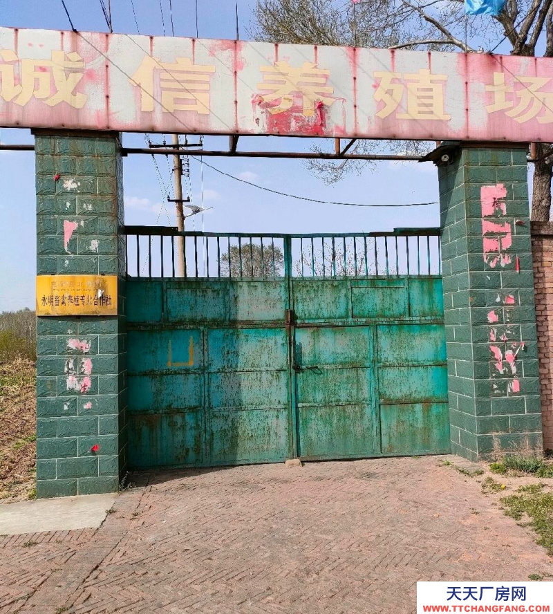 (出租) 500頭規(guī)模養(yǎng)豬場向外承包