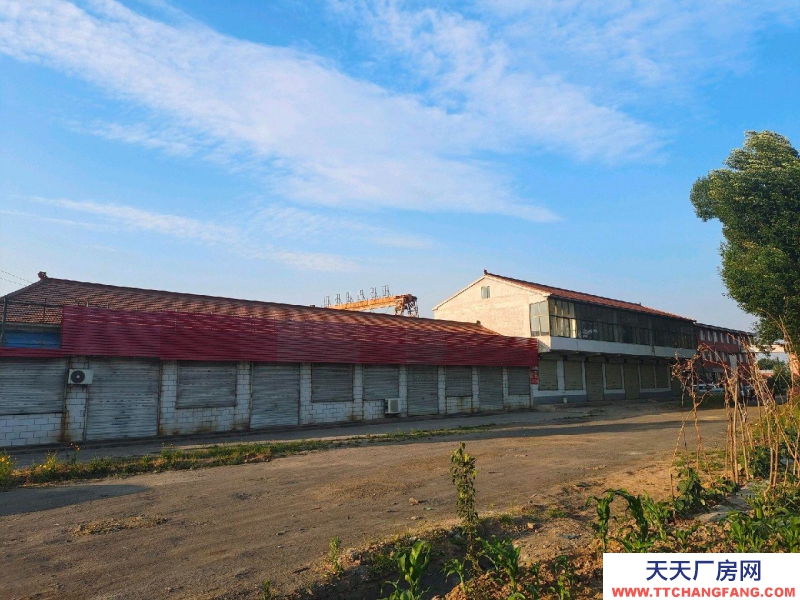 (出租) 208國道附近，交通便利，停車方便，離市區近