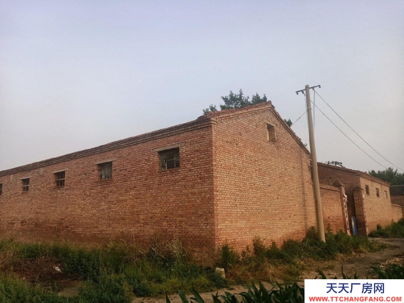 (出租) 有深層機井，有三相電