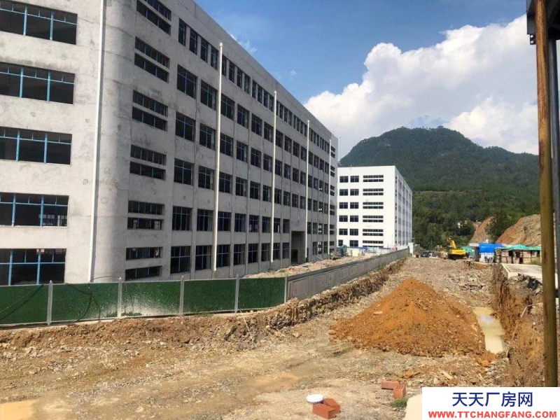 溫州文成(出售) 獨立產權、獨門獨院、上億