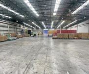 閔行 顓橋全新單層廠房 場地大 球館.物流.倉儲電商 另有2畝空地