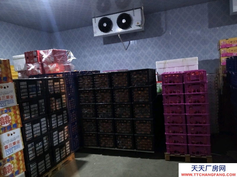 (出租)呼和浩特玉泉區冷庫、恒溫庫、水果蔬菜庫、貨物托管、倉庫代管