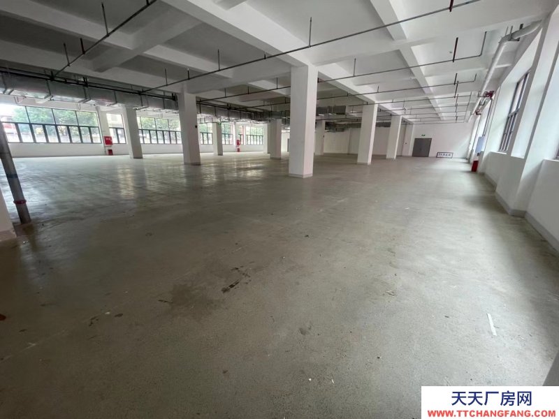 全新，獨棟框架 結構廠房，面積選擇大，形象展示非常好