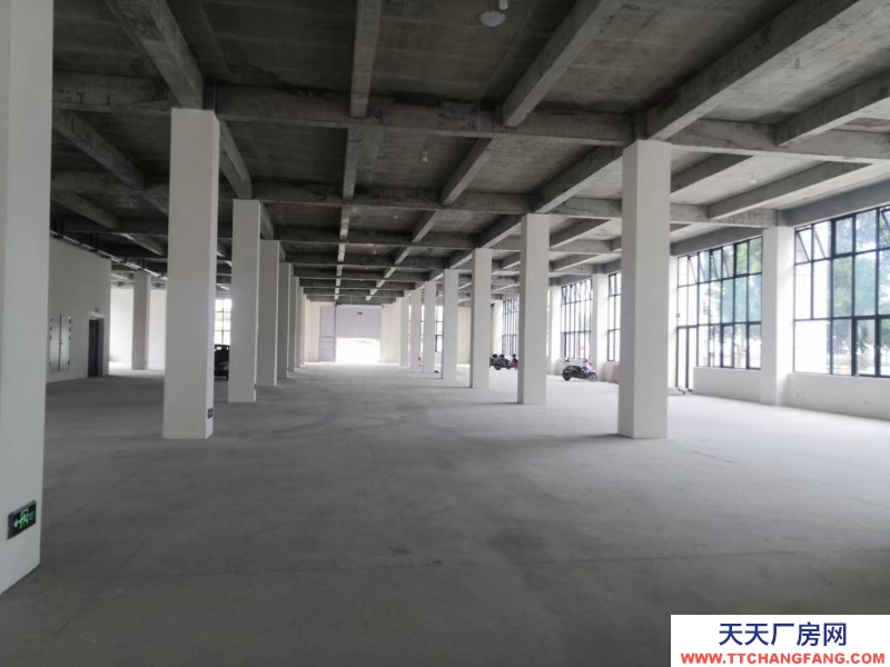 全新，獨棟框架 結構廠房，面積選擇大，形象展示非常好