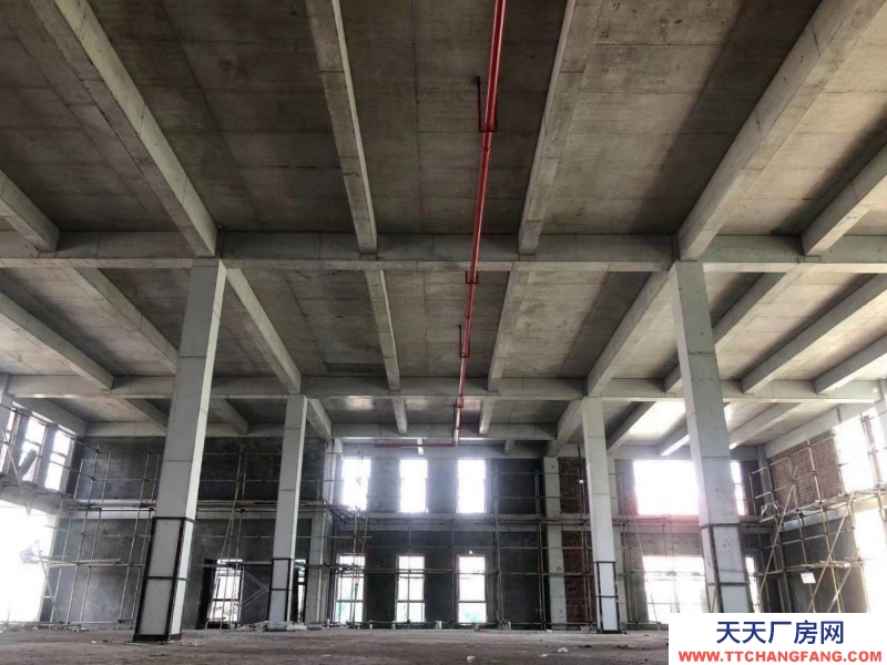 1366m2高標(biāo)準(zhǔn)工業(yè)廠房。低價(jià)現(xiàn)房。價(jià)格可面議。