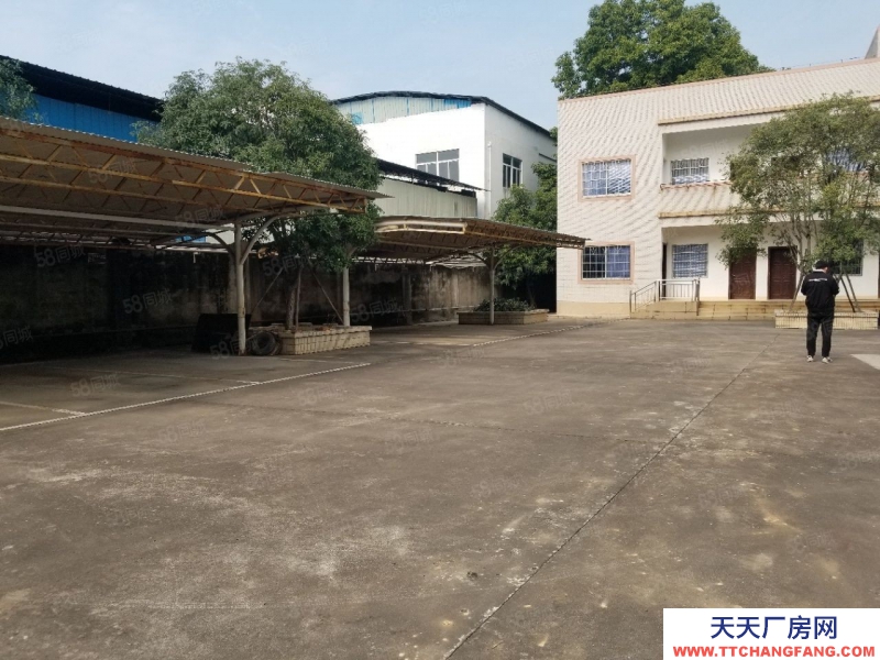 (出租)柳州魚峰 柳東新區雒容工業園廠房出租3000平，15元一平，不收中介費