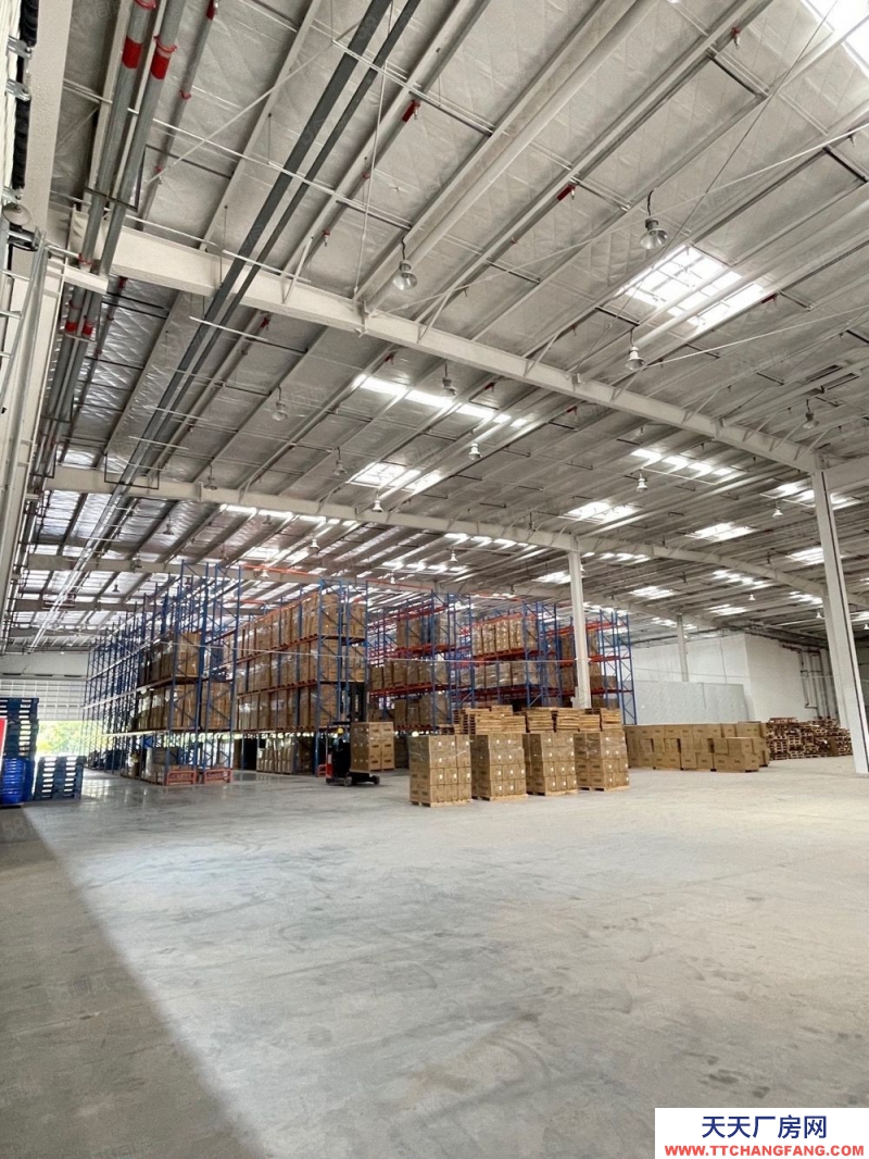 (出租) 柳州魚峰柳東花嶺物流園 2萬平高臺庫 可分租 整租有優惠