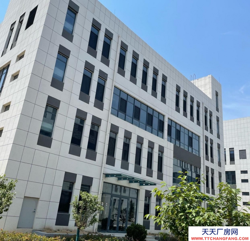 泰安寧陽國企開發 現房獨棟 企業獨棟 共4層 獨立產權 工業用地