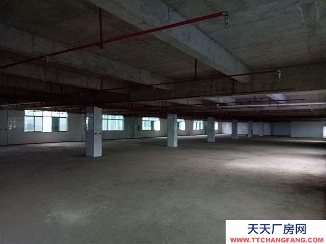 泰安東平出租生產車間和倉庫，地上兩層