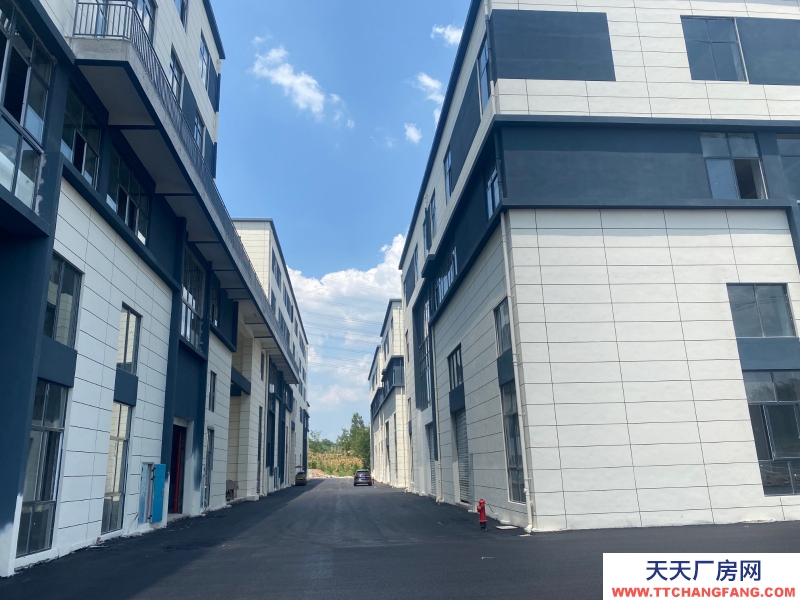 968m2雙拼或分層高標準工業廠房。低價現房。