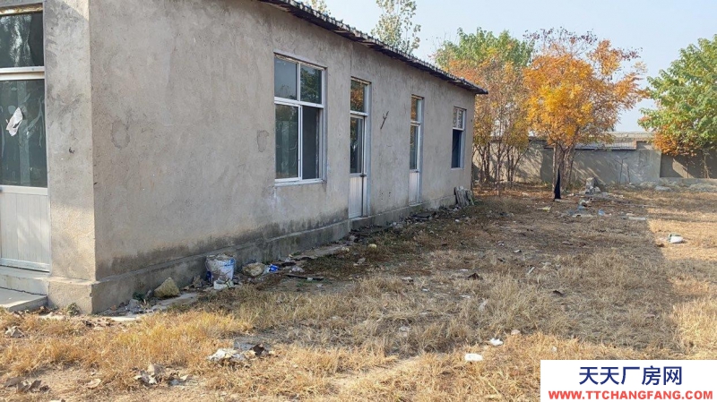 泰安新泰占地10畝，房子700平方 變壓200，周邊安靜