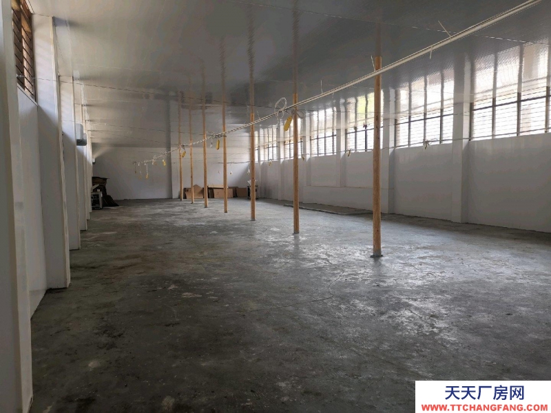 溫州泰順(出租) 新裝修1000平獨門獨戶廠房