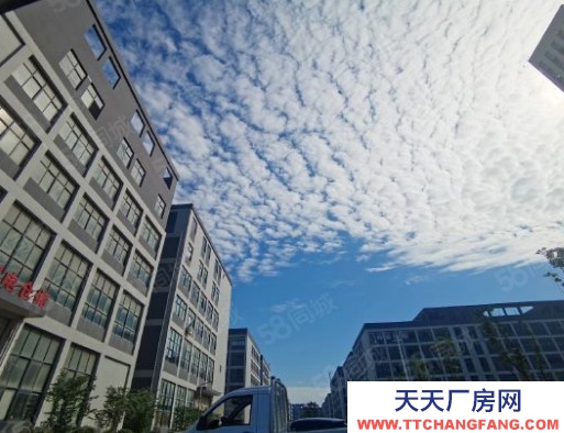 溫州泰順(出售) 麗水14畝。,車間8500平。獨(dú)門獨(dú)院