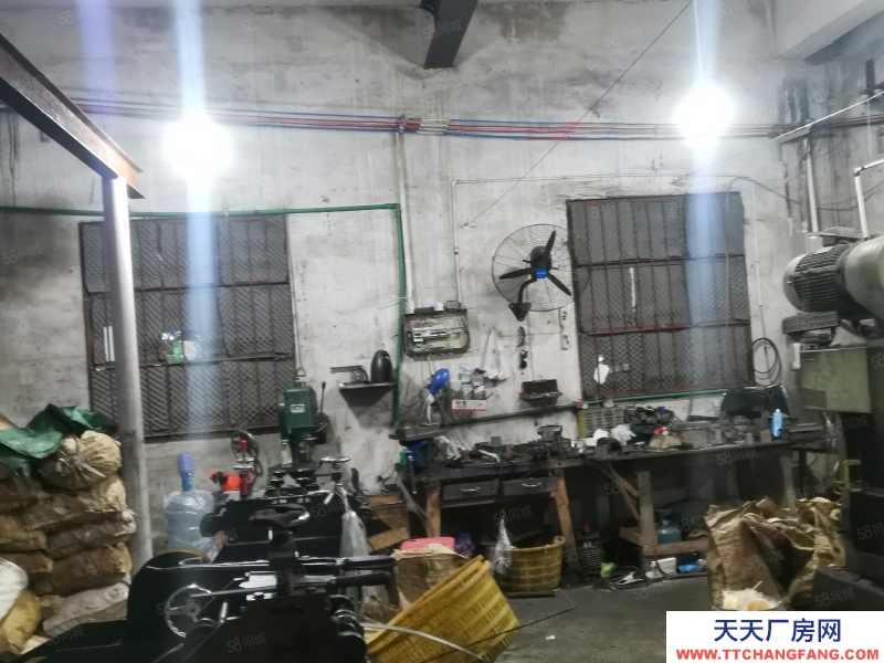 溫州瑞安(出租) 瑞安莘塍1550平方米廠房出租（內有更多信息）