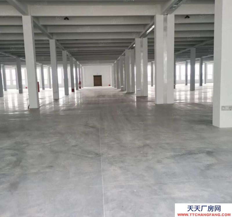 溫州瑞安(出租) 飛云閣巷廠房 12000平方 1樓8米高 2樓5米高 可分割