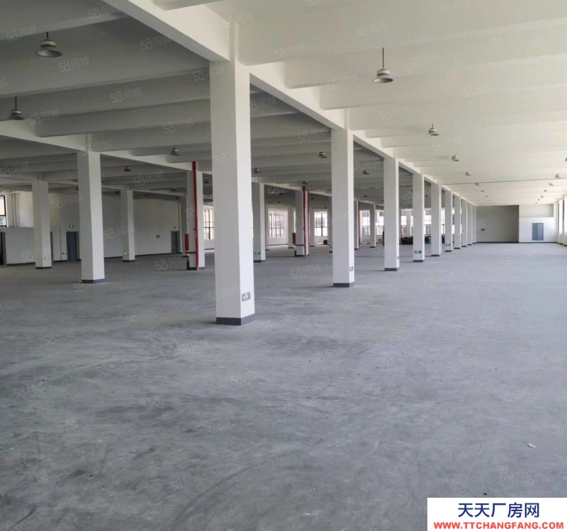 溫州瑞安(出租) 東山 12000標準廠房 5噸貨梯 帶地下室 可分割