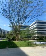 (出售) 閔行全新地塊可生產(chǎn)研發(fā)辦公,50年獨立產(chǎn)權(quán)