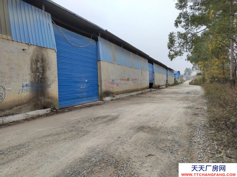 (出租) 桂林靈川500米2000平米廠房