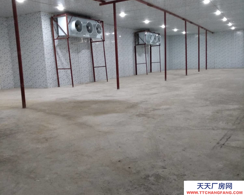 (出租) 桂林秀峰區桃花江路山洞內場地,冷庫出租