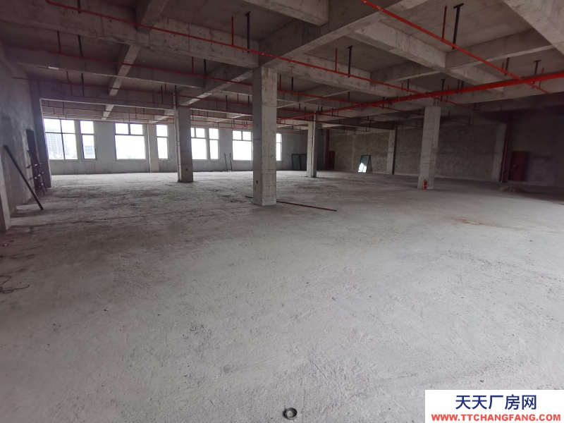 園區(qū)不限電,德清高速口首付100萬,花園式廠房