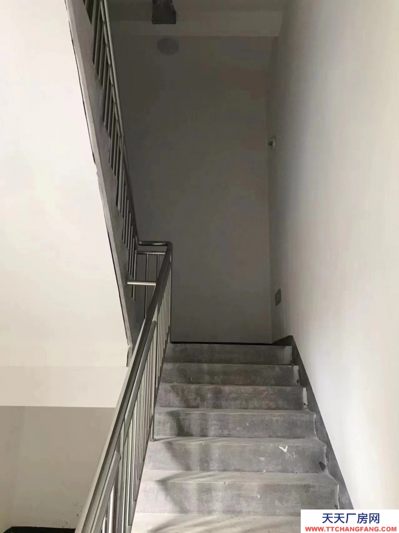 3層獨棟雙拼廠房出售，投資生產價值高！