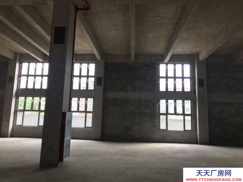 桐廬獨棟雙拼工業廠房準現房年底交付