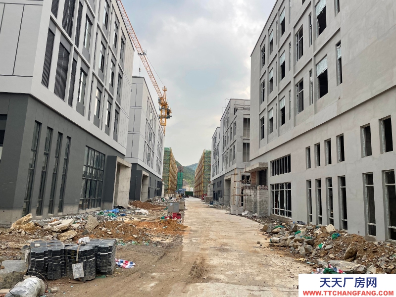 高速口花園獨棟廠房50年產權可分割,不限電