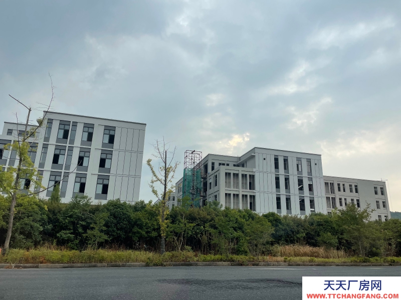 不限電，低容積，四層花園式獨(dú)棟廠房，非中介