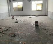 (出租) 寶山富聯(lián)路友誼西路，10000平可分租