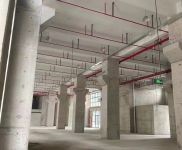 (出售)寶山 園區(qū)高標廠房,免稅收,可環(huán)評