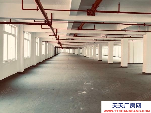 聊城東昌5000平大平層全業(yè)態(tài)招租