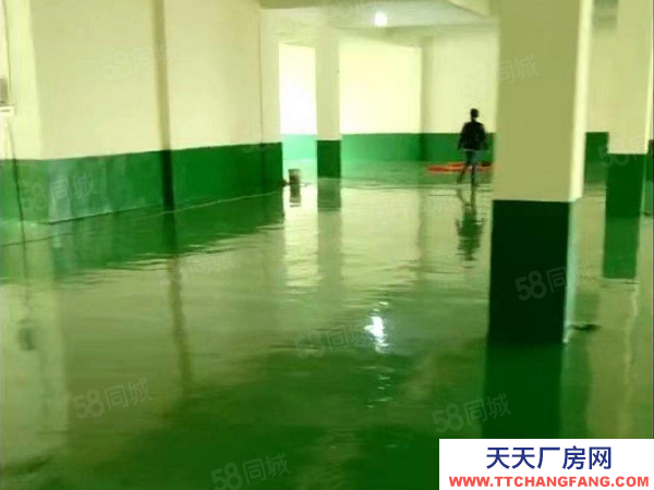 邵陽市邵東縣巨龍工業園廠房出租