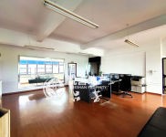 (出售) 嘉定實拍|沿河帶后花園|實際使用1200平|通煤氣|南翔企業(yè)公館