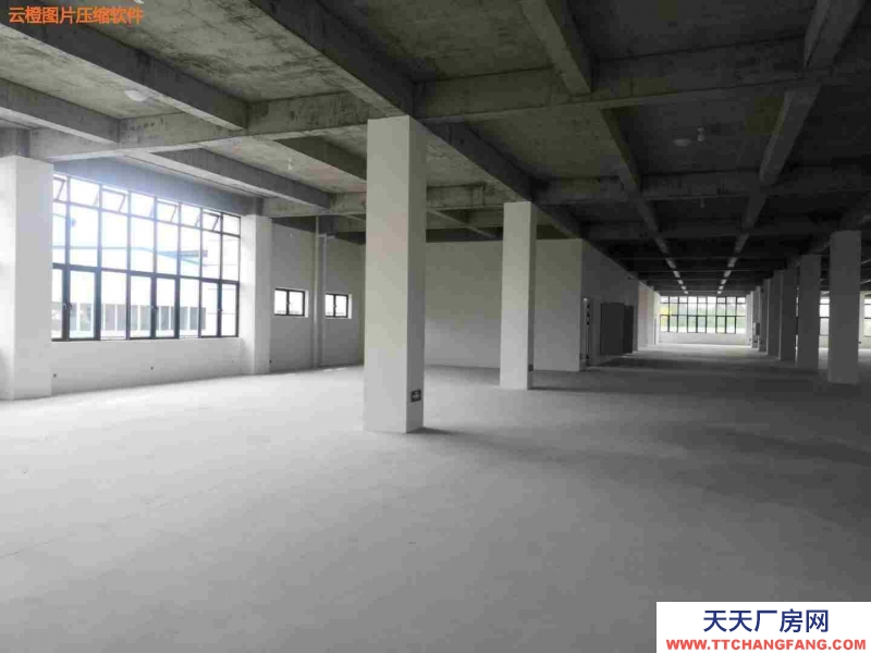 花園式獨棟廠房,利用率高,環境好,適合電子信息,新能源等產業