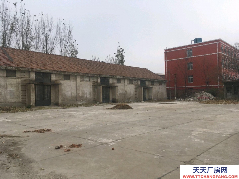 聊城陽谷獨院有兩千平米廠房有空地