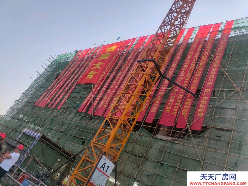 聊城陽谷300-5000平現(xiàn)代化企業(yè)廠房倉庫冷庫出售