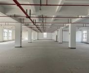 (出租) 浦東臨港新片區先行啟動區 生物醫藥 設備組裝 電商倉儲等