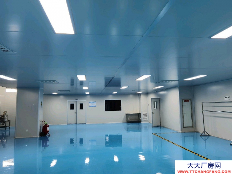 (出租) 銀川金鳳潔凈車間可生產(chǎn)研發(fā)檢測辦公，整租分租都可